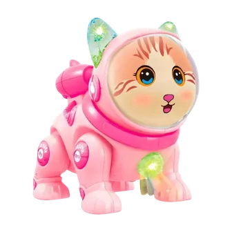 Kosmo­mushuk