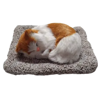 Mushukcha